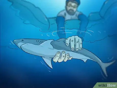 Image titled Fish for Shark Step 12