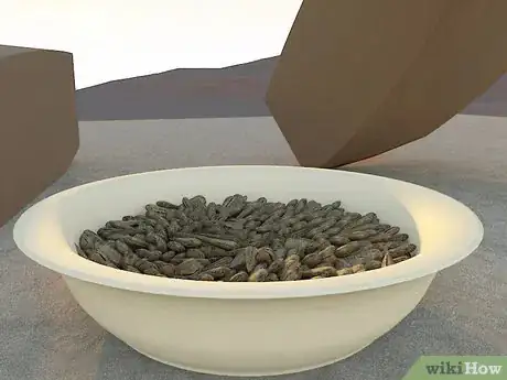 Image titled Harvest Sunflower Seeds Step 11