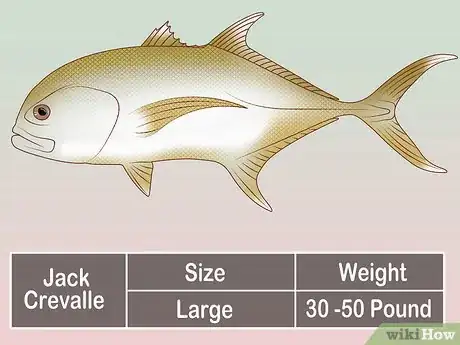 Image titled Create a Setup for Inshore Fishing Step 40