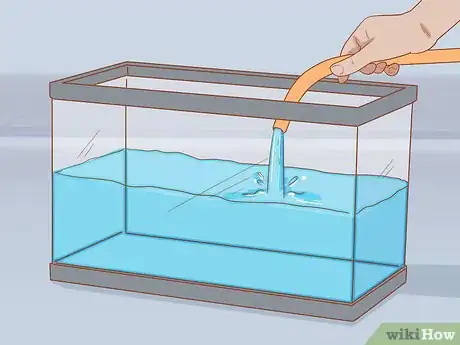 Image titled Add Fish to a New Tank Step 2