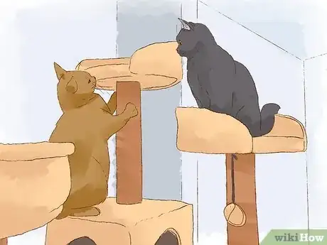 Image titled Stop a Cat from Licking Its Fur Off Step 2