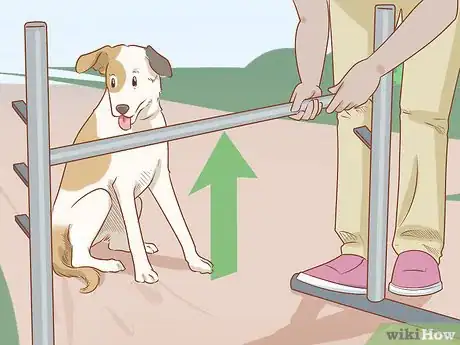 Image titled Teach Your Dog to Jump Step 14