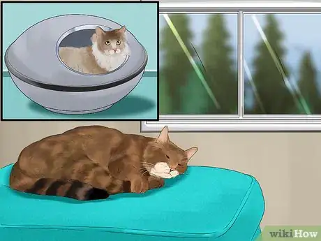 Image titled Catify Your Home for a Senior Cat Step 2