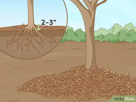 Image titled Replant a Tree Step 13