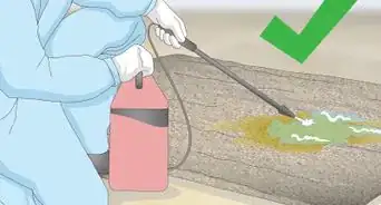 Remove Old Dog Urine Stains