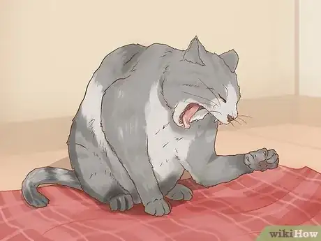 Image titled Save a Choking Cat Step 1