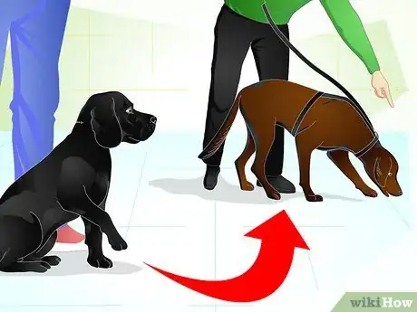 Image titled Raise a Dog Step 16