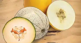 Grow Cantaloupe