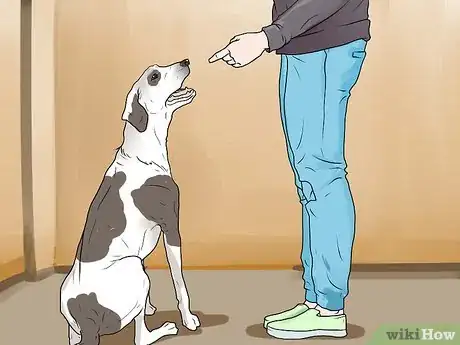 Image titled Punish a Dog Step 1