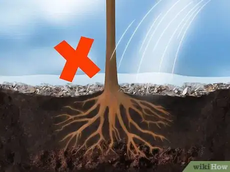 Image titled Plant Fruit Trees Step 16