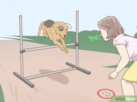 Image titled Teach Your Dog to Jump Step 12