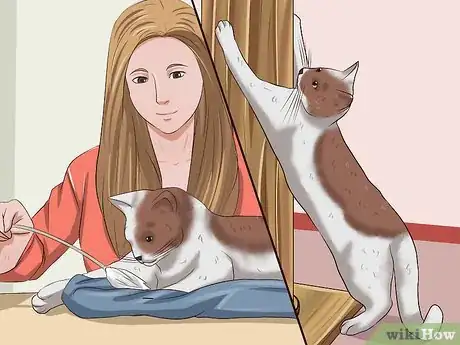 Image titled Train a Cat to Stop Doing Almost Anything Step 8