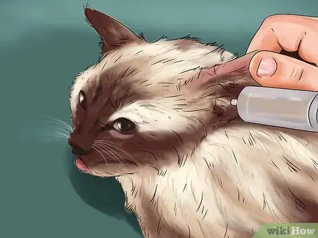 Image titled Diagnose and Treat Ruptured Eardrums in Cats Step 8