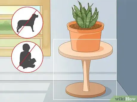 Image titled Care for a Sansevieria or Snake Plant Step 8