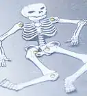 Make a Human Skeleton out of Paper