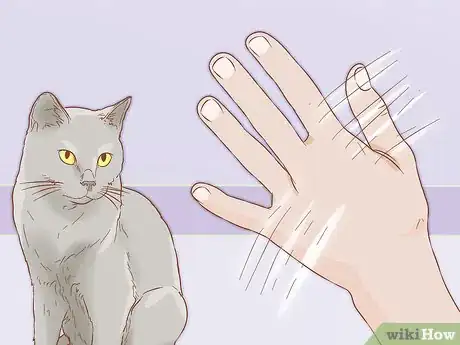 Image titled Help a Deaf Cat Step 5