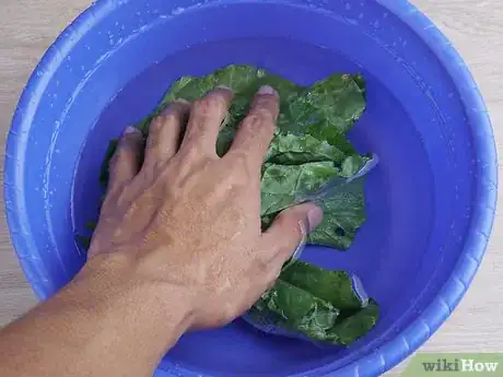 Image titled Eat Swiss Chard Step 1