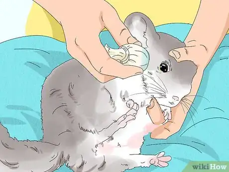 Image titled Treat Eye Irritations in Chinchillas Step 9