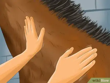 Image titled Vaccinate Horses Step 11