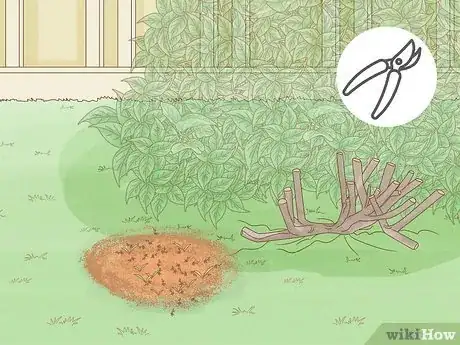 Image titled Get Rid of Ghost Ants Step 10