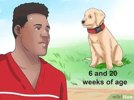 Image titled Tell if Your Dog Has Parvo Step 1