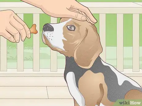 Image titled Stop a Dog's Unwanted Behavior Step 8