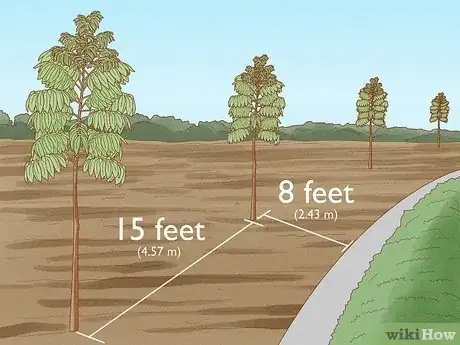 Image titled Plant Mahogany Trees Step 3