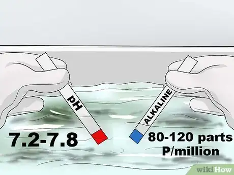 Image titled Get Rid of Blackspot Algae in Your Swimming Pool Step 2