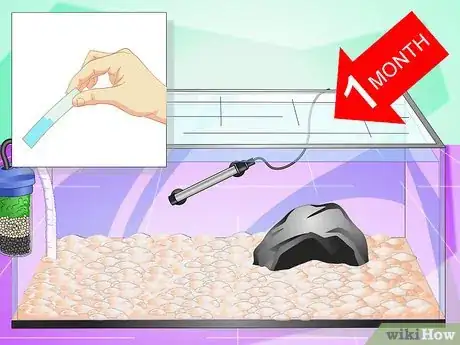 Image titled Set up a Cichlid Tank Step 11