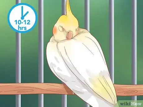 Image titled Keep Your Cockatiel Happy Step 7