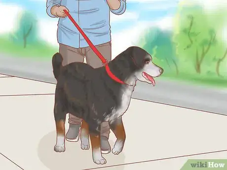 Image titled Take Care of Your Dog's Basic Needs Step 11