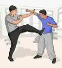 Learn Kung Fu Yourself