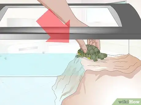 Image titled Apply Medication to a Turtle's Eyes Step 7