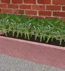 Make Concrete Planters