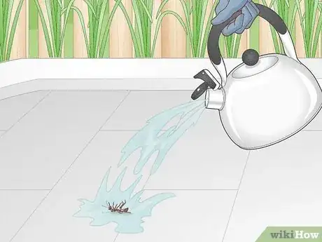 Image titled Get Rid of Mud Daubers Step 7