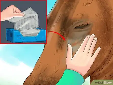 Image titled Make Your Horses' Coat Shine Step 12