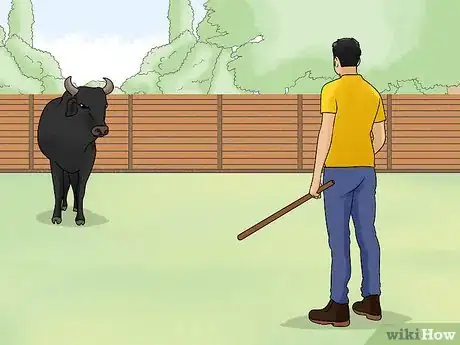 Image titled Avoid or Escape a Bull Step 1