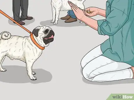 Image titled Prepare Your Household for a New Dog Step 22