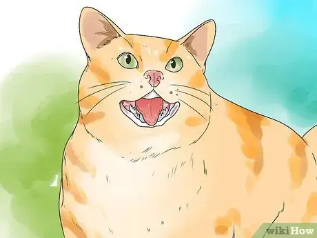 Image titled Help Your Cat Breathe Easier Step 8