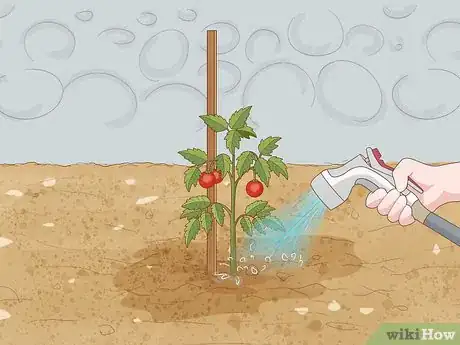 Image titled Prepare the Soil for Tomato Plants Step 17