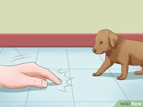 Image titled Train a Deaf Puppy Step 1