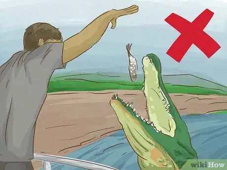 Image titled Survive an Encounter with a Crocodile or Alligator Step 8