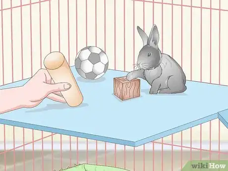 Image titled Prepare a Rabbit Cage Step 13