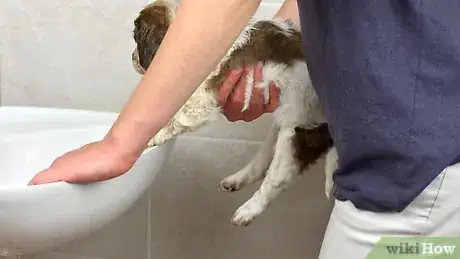 Image titled Bathe a Puppy for the First Time Step 10