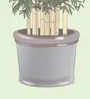 Get Rid of Bamboo