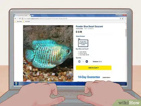 Image titled Buy Fish Online Step 6