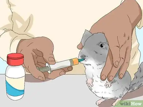 Image titled Treat Eye Irritations in Chinchillas Step 8