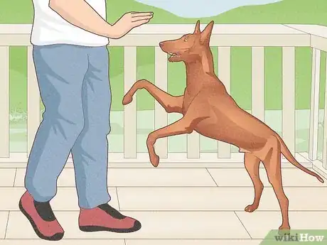 Image titled Stop a Dog's Unwanted Behavior Step 12