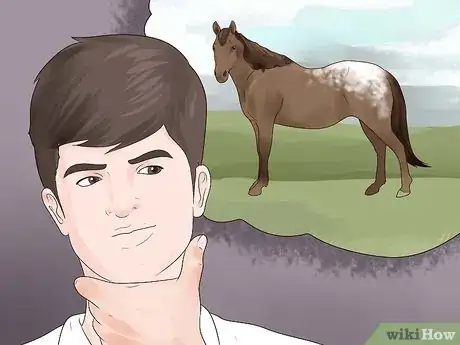 Image titled Identify an Appaloosa Horse Step 9