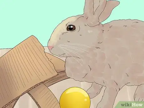 Image titled Care for a Rabbit Step 15